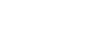 Network Zen logo